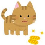 飼い猫スコティッシュフォールド